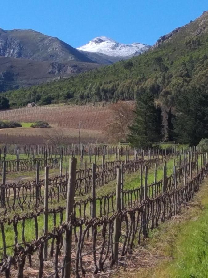 L'Auberge Chanteclair Franschhoek Dış mekan fotoğraf