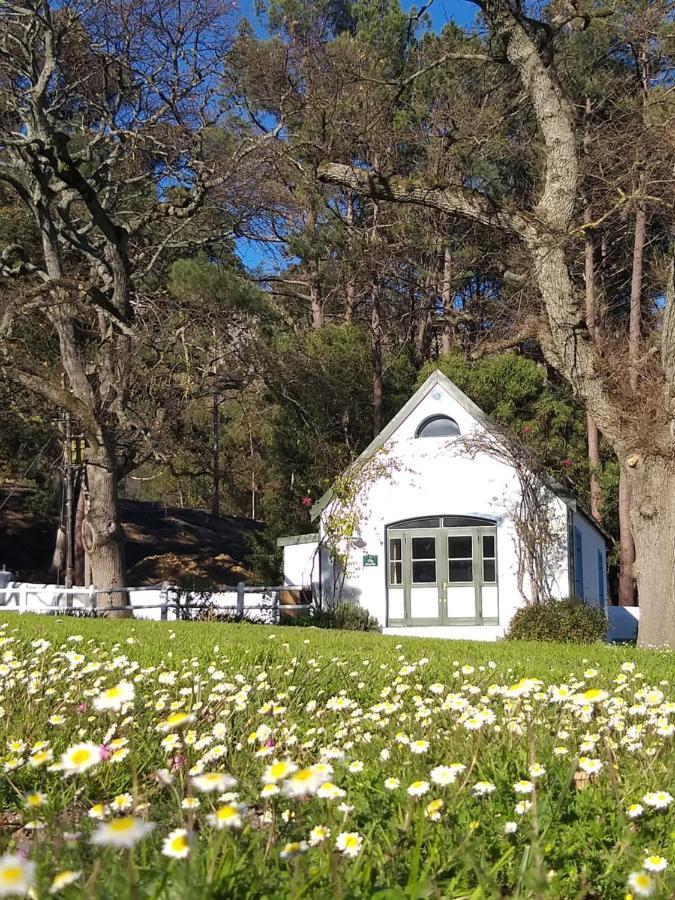 L'Auberge Chanteclair Franschhoek Dış mekan fotoğraf