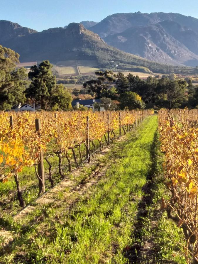 L'Auberge Chanteclair Franschhoek Dış mekan fotoğraf