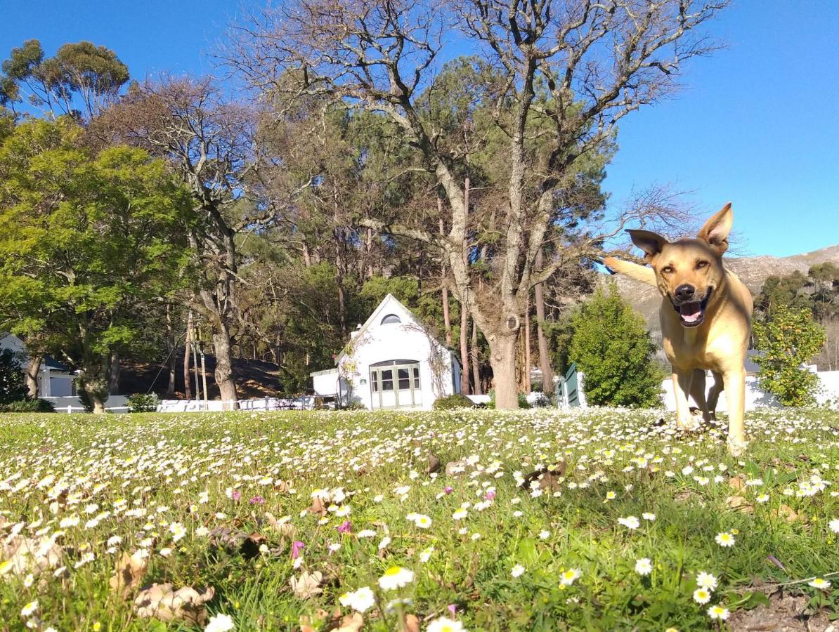 L'Auberge Chanteclair Franschhoek Dış mekan fotoğraf