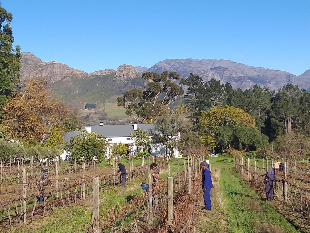 L'Auberge Chanteclair Franschhoek Dış mekan fotoğraf