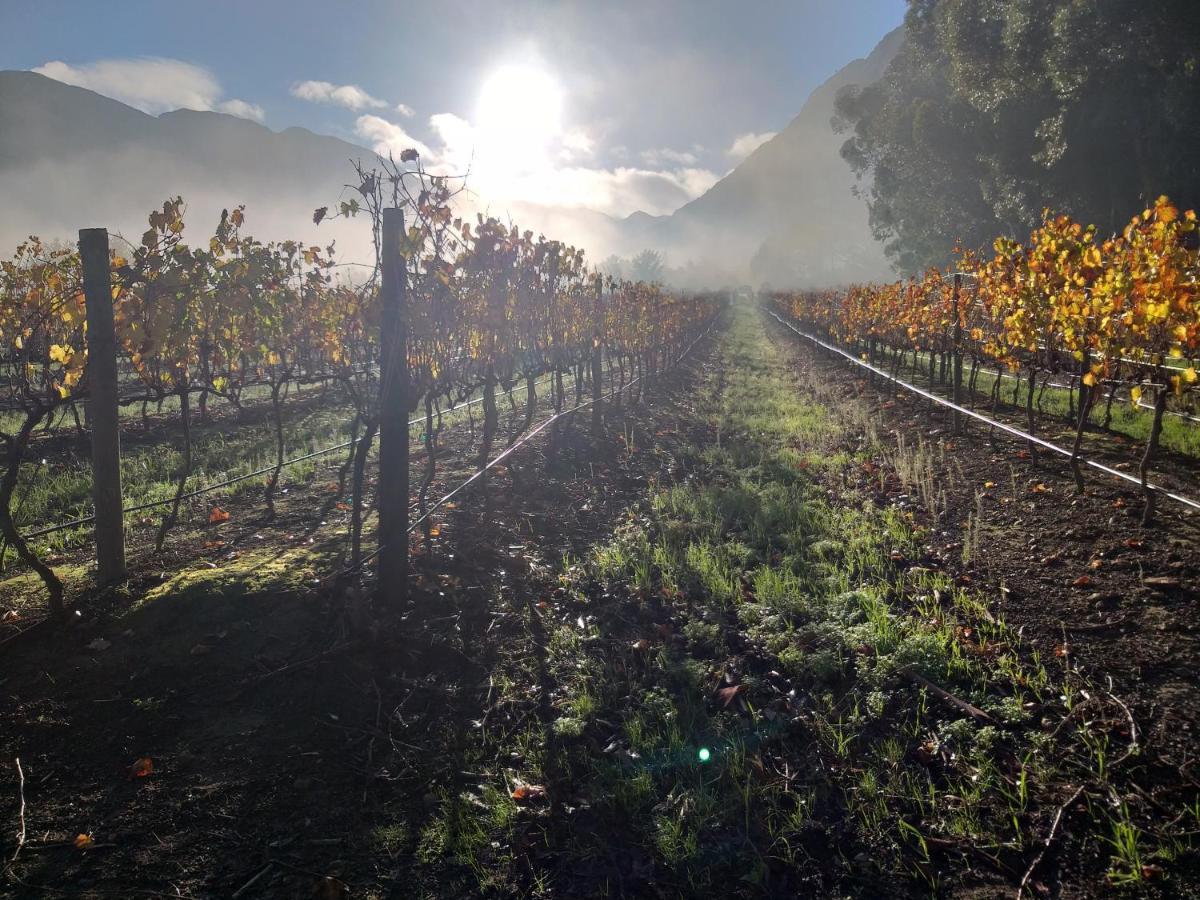 L'Auberge Chanteclair Franschhoek Dış mekan fotoğraf